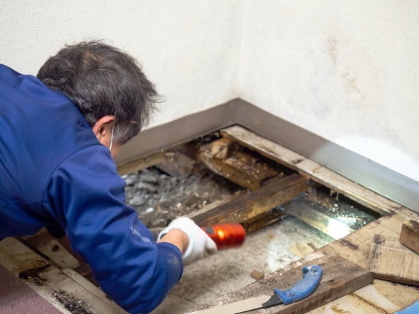 Best Mold Testing  in Dallas, OR