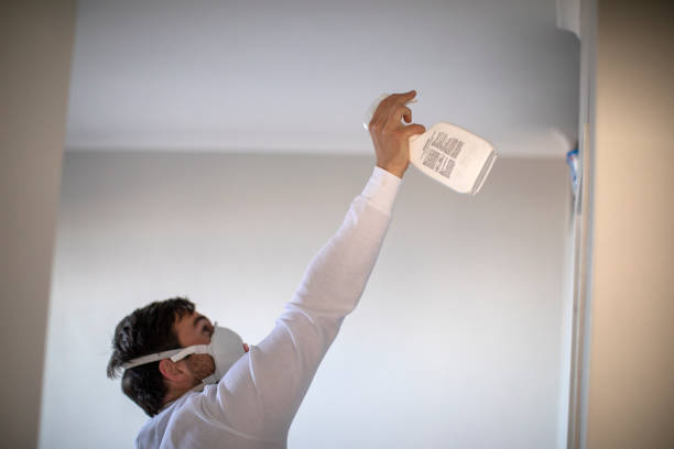 Best Same-Day Mold Removal  in Dallas, OR